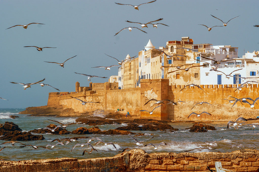 Excursion Essaouira