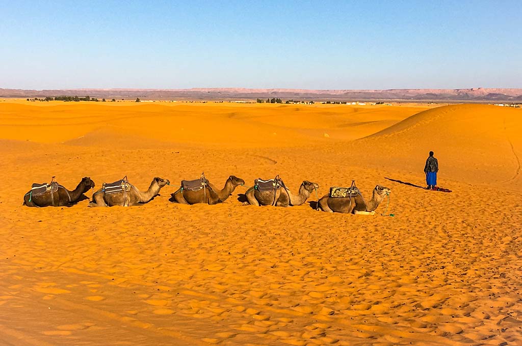 Trouvez vos meilleures vacances